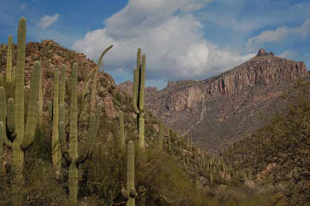 Saddleback Ridge and the Thimble